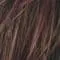 Plum Brown Rooted