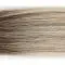 Ash Rooted
