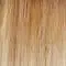 GF14-22SS | SS Wheat
