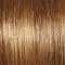 GF8-29SS | SS Hazelnut