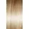 GF14-22SS | SS Wheat