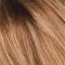 Hazelnut Cream Root