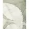 Grey/Leaves