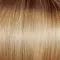 GF14-22SS | SS Wheat