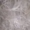 Oyster Gray