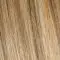 11/20/23-11+Root11 | Vanilla-Light-Root
