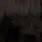 1BH