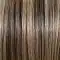 12/27/16+12 | Honey Mix Balayage