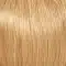 12RN | Natural Light Brown | Light Gold Brown RN