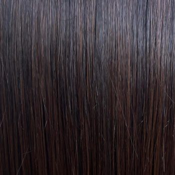 N6/4 | Dark Brown Wig Colour by Gisela Mayer | Heat Friendly Synthetic