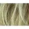 Sandy Blonde Mix