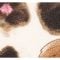 Flower / Cream